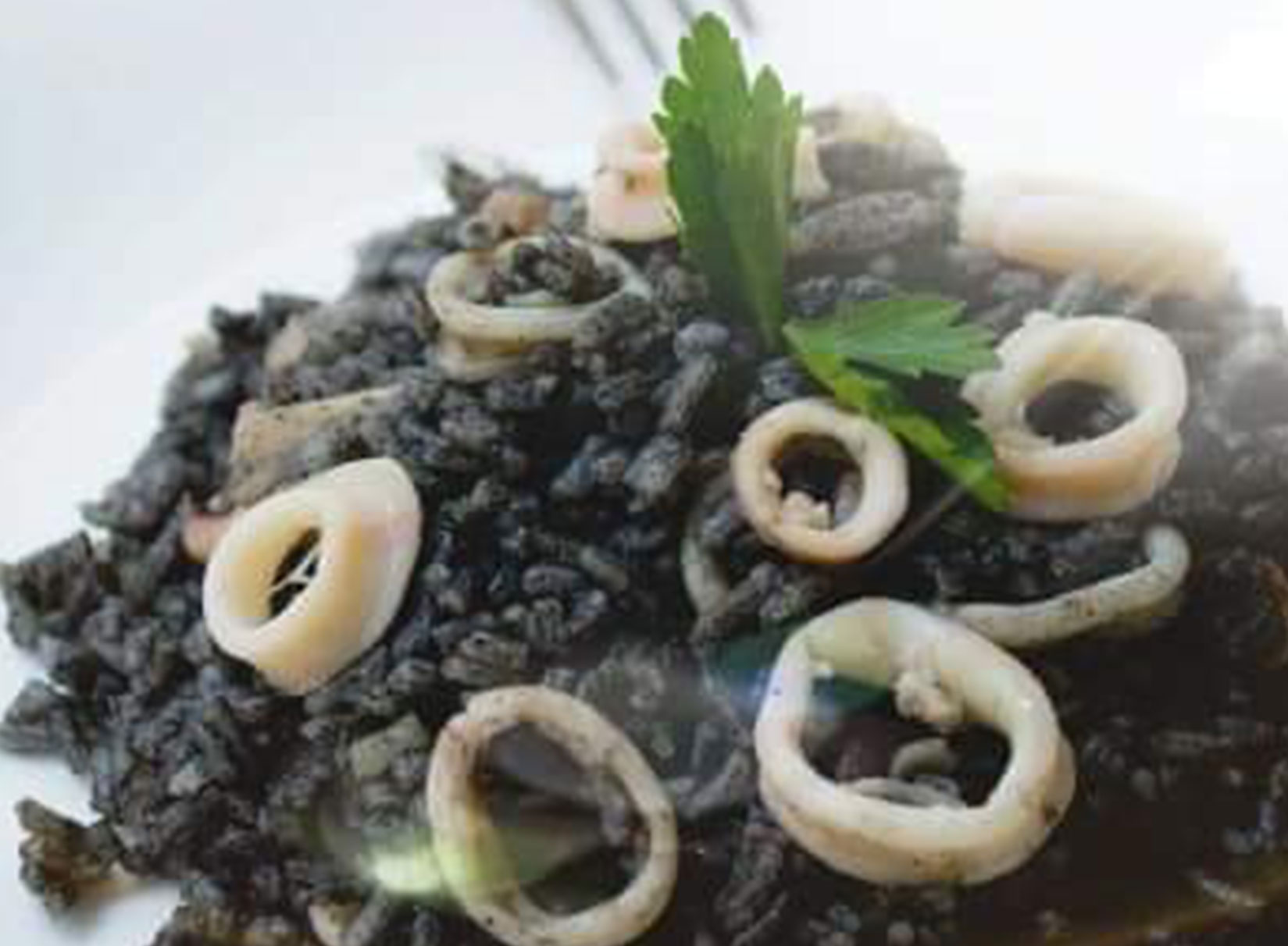 comida casera rivas